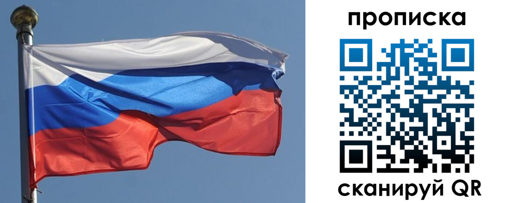временная регистрация поиск в Владимире